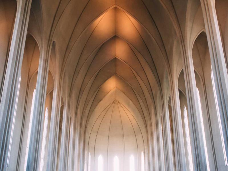 蝴蝶效应<br>ly9ugd.cn 亚马逊蝴蝶扇翅